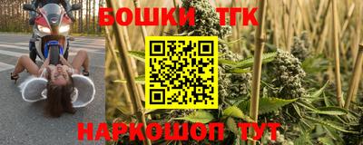 ГАЛЛЮЦИНОГЕННЫЕ ГРИБЫ Новозыбков