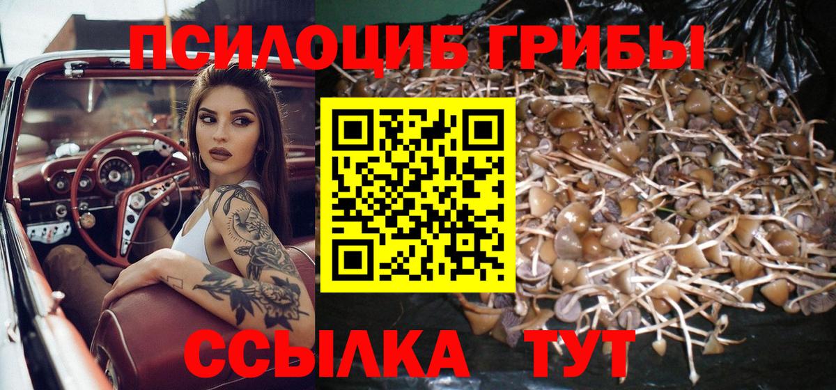 Псилоцибиновые грибы мицелий  купить наркоту  Сибай  Псилоцибиновые грибы мицелий  Вход с VPN 